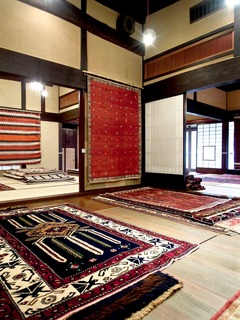 DSCN9154.jpg
